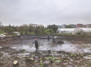 湖里河道鱼塘清淤